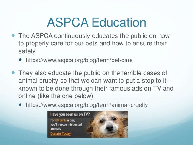 About Aspca About Aspca