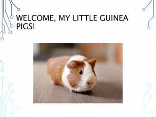 WELCOME, MY LITTLE GUINEA
PIGS!
 