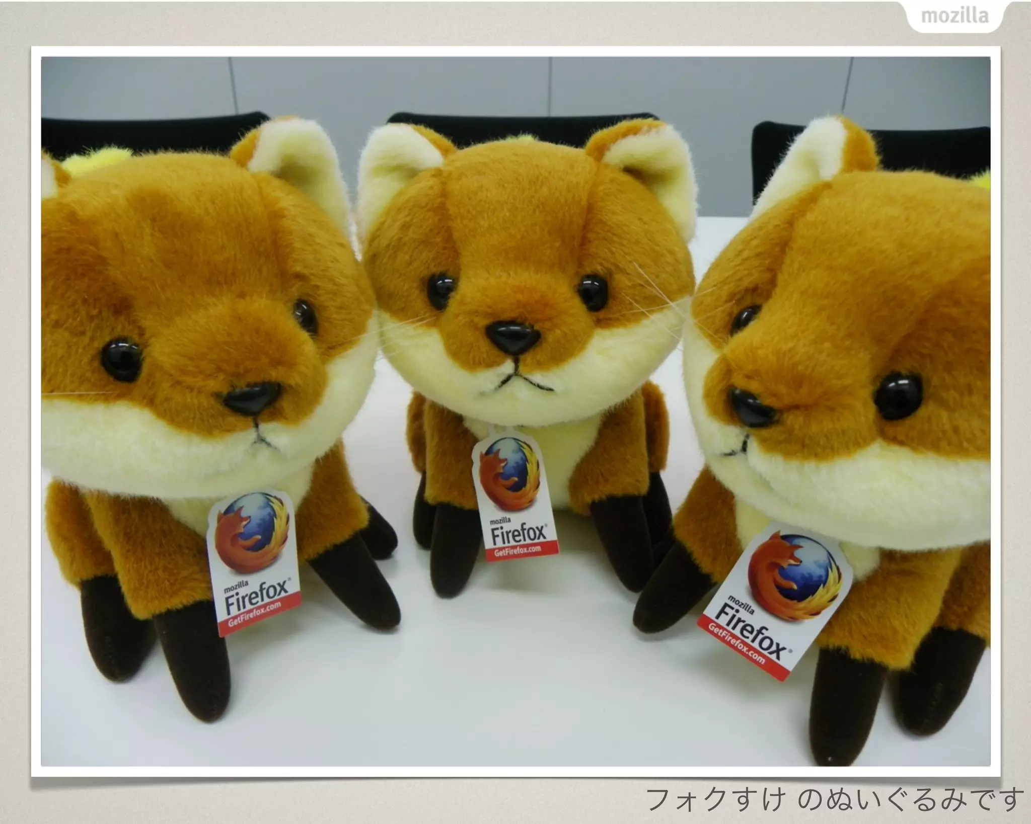 フォクすけ のぬいぐるみです
 