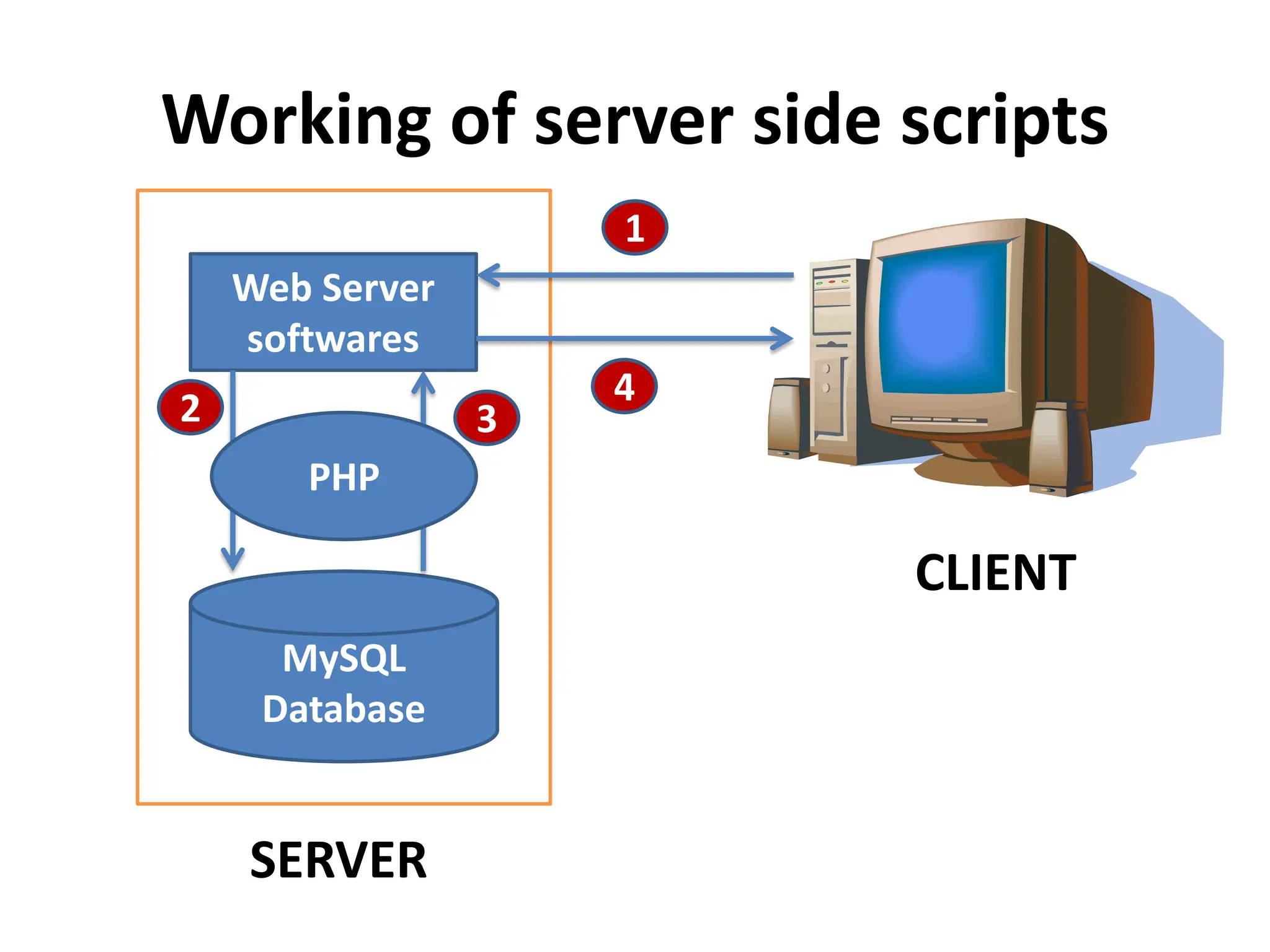 Working of server side scripts
MySQL
Database
Web Server
softwares
PHP
CLIENT
SERVER
1
2 3
4
 