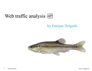 Web traffic analysis
by Enrique Delgado

1

Website analysis

Enrique Delgado Itt

 