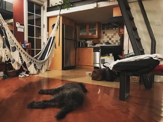 Developing Desktop Apps with Electron & Ember.js - FITC WebU2017