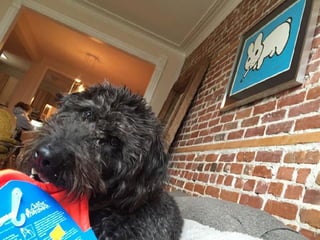 Developing Desktop Apps with Electron & Ember.js - FITC WebU2017