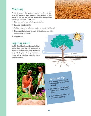 Mulching
Mulch is one of the quickest, easiest and most cost-
effective ways to save water in your garden. It pro-
vides an attractive surface as well as many other
landscape benefits. Mulch can:
• Conserve water by reducing evaporation
• Suppress weed growth
• Reduce erosion by allowing water to penetrate the soil
• Encourage better root growth by insulating soil from
  temperature extremes
• Improve soil



Applying mulch
Mulch should be layered three to four
inches deep over the soil. Keep mulch
about six inches away from the base
of plants to prevent fungal diseases.                                               mulch
Avoid using mulched material from
diseased plants.




                                                         Tips
                                                 Weeding en shoots
                                                         eeds wh
                                              • P u ll w      r, before
                                                                          they
                                                 fi rst appea
                                                 set seed.
                                                                      stubborn
                                                          est to pull
                                               • It’s easi               so il is
                                                              h e n th e
                                                   weeds w
                                                    damp.
                                                                           n, use
                                                                eeds dow
                                                •    To keep w
                                                              nsistently.
                                                     mulch co




                                              18
 