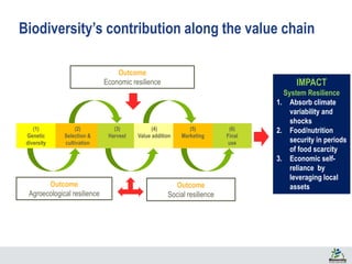 (1)
Genetic
diversity
(2)
Selection &
cultivation
(3)
Harvest
(4)
Value addition
(5)
Marketing
(6)
Final
use
Outcome
Economic resilience
Outcome
Agroecological resilience
Outcome
Social resilience
Biodiversity’s contribution along the value chain
IMPACT
System Resilience
1. Absorb climate
variability and
shocks
2. Food/nutrition
security in periods
of food scarcity
3. Economic self-
reliance by
leveraging local
assets
 