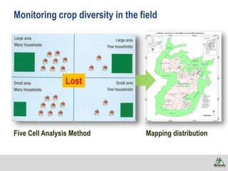 Monitoring crop diversity in the field
Five Cell Analysis Method Mapping distribution
Lost
 