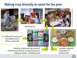 55
Branding, building self-help groups for
entrepreneurial activities, empowering women,
indigenous people, vulnerable groups
Increased household
consumption of
nutritious food
Dehusking mill
Making crop diversity an asset for the poor
0.5 US$ gain for every kg of
value-added product
(100 kg processed)
PhotoCredits:BioversityInternational/S.Padulosi
 
