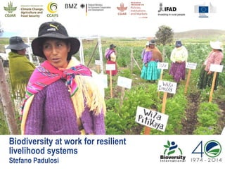 Biodiversity at work for resilient
livelihood systems
Stefano Padulosi
 