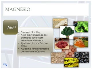 MAGNÉSIO



    • Forma a clorofila.
    • Atua em várias reações
      químicas, junto com
      enzimas e vitaminas.
    • Ajuda na formação dos
      ossos.
    • Ajuda no funcionamento
      de nervos e músculos.
 