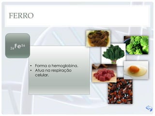 FERRO




    • Forma a hemoglobina.
    • Atua na respiração
      celular.
 