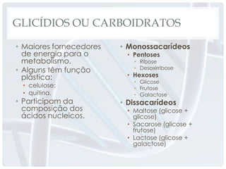GLICÍDIOS OU CARBOIDRATOS

• Maiores fornecedores   • Monossacarídeos
  de energia para o       • Pentoses
  metabolismo.              • Ribose
• Alguns têm função         • Desoxirribose
  plástica:               • Hexoses
                            • Glicose
  • celulose;               • Frutose
  • quitina.                • Galactose
• Participam da          • Dissacarídeos
  composição dos          • Maltose (glicose +
  ácidos nucleicos.         glicose)
                          • Sacarose (glicose +
                            frutose)
                          • Lactose (glicose +
                            galactose)
 