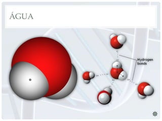 ÁGUA
 
