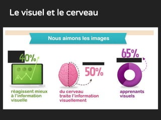 Le visuel et le cerveau
 