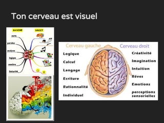 Ton cerveau est visuel
 