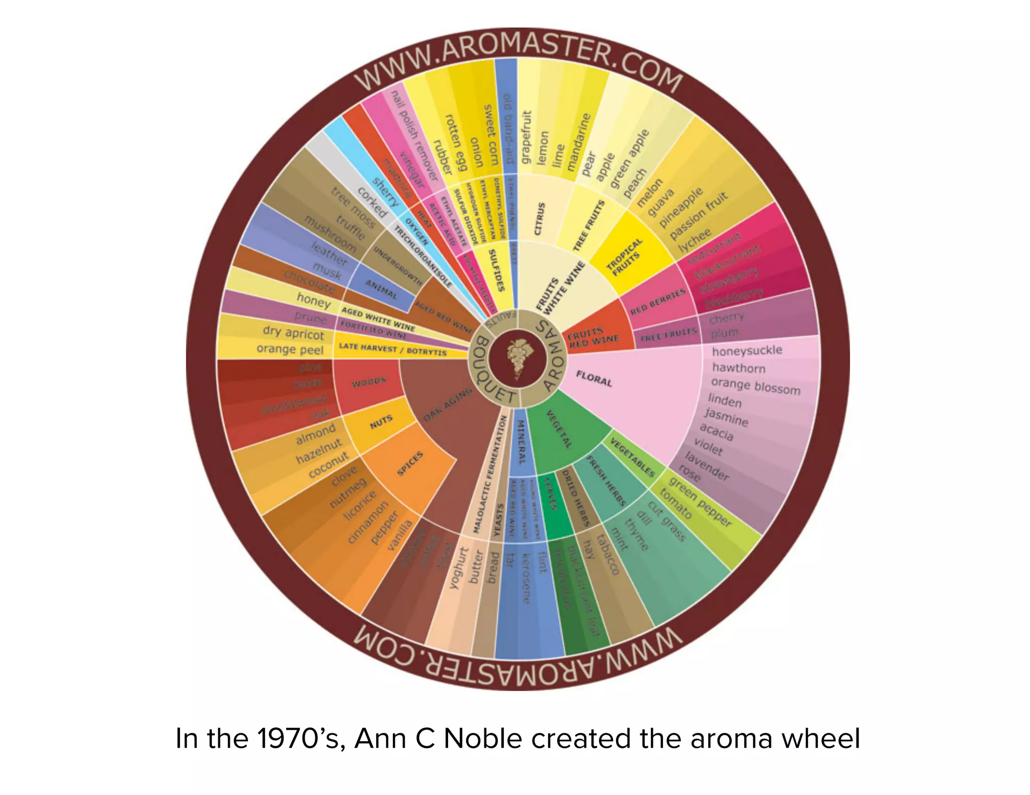 In the 1970’s, Ann C Noble created the aroma wheel
 