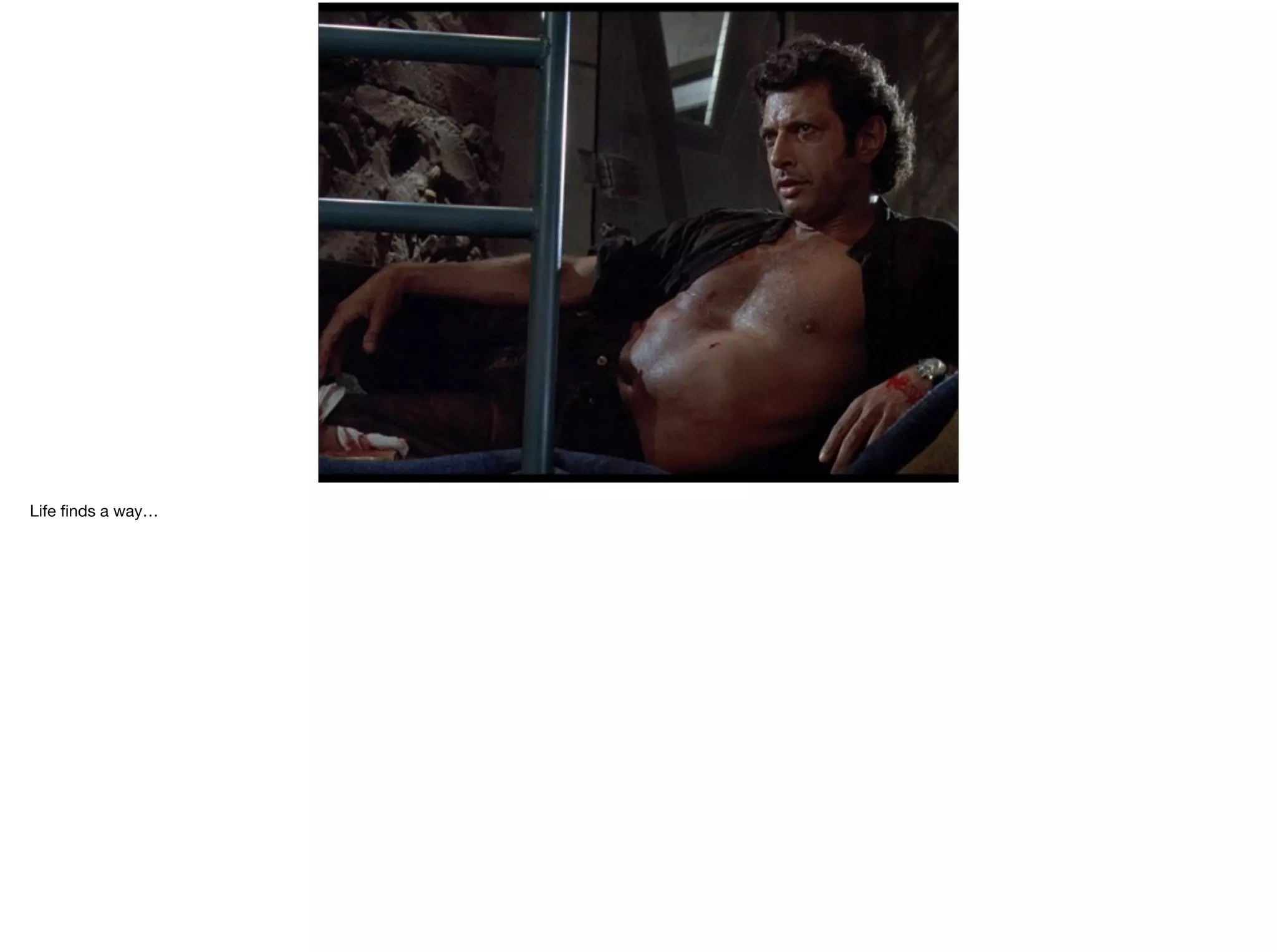 Life ﬁnds a way…

 