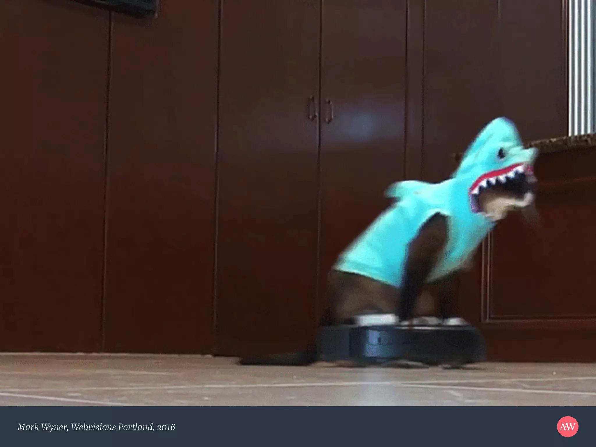 Mark Wyner, Webvisions Portland, 2016
 