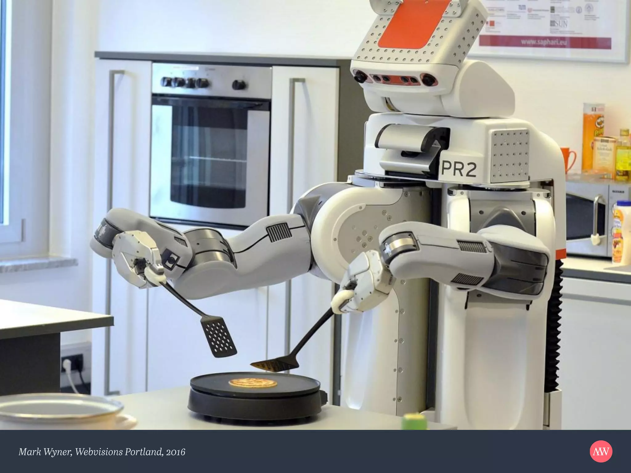 Mark Wyner, Webvisions Portland, 2016
 