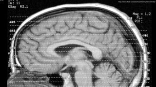 h"p://www.ﬂickr.com/photos/lizhenry/2051224366/
 