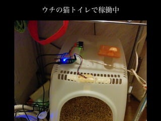 ウチの猫トイレで稼働中
 