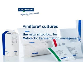 Vintage 2009 / 2010 V iniflora ®  cultures  the natural toolbox for  Malolactic Fermentation management   
