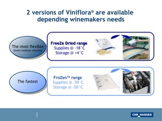 2 versions of Viniflora ®  are available  depending winemakers needs The most flexible Small/medium volumes The fastest FreeZe Dried range  Supplies @ -18°C Storage @ +4°C FroZen TM  range  Supplies @ -50°C Storage @ -50°C 
