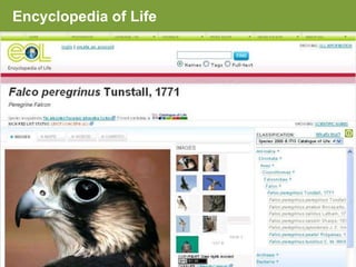 Encyclopedia of Life




8
 