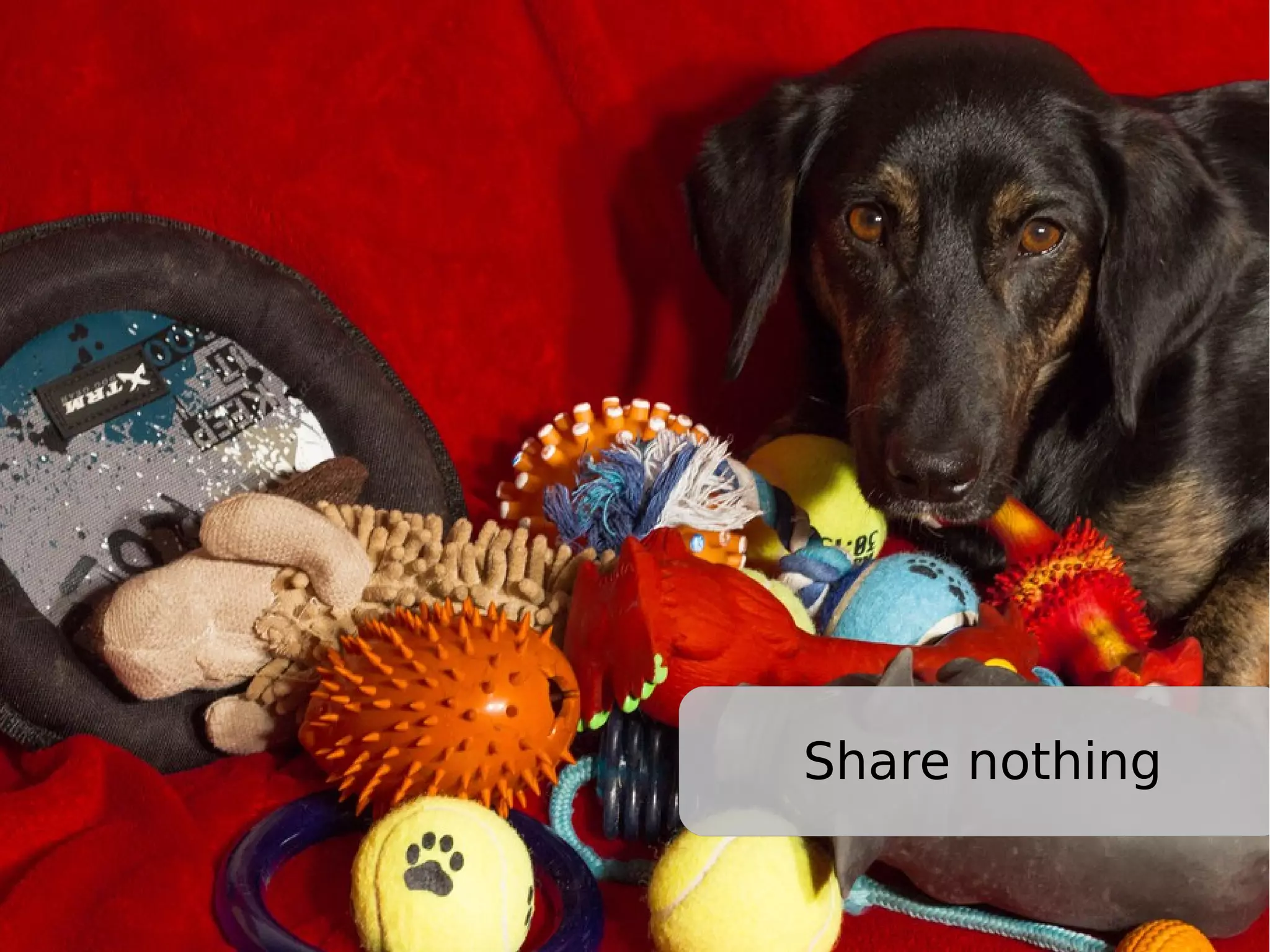 Share nothing 