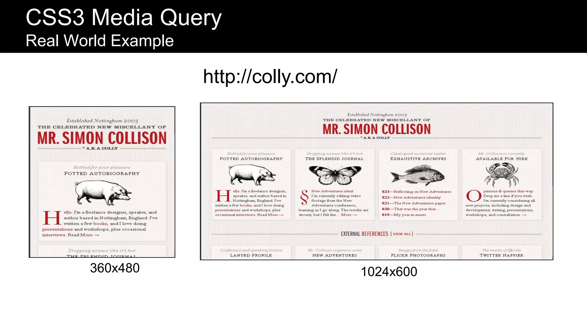 CSS3 Media Query
Real World Example

                     http://colly.com/




       360x480                           1024x600
 