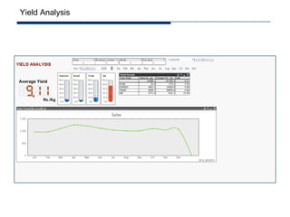 Yield Analysis
 