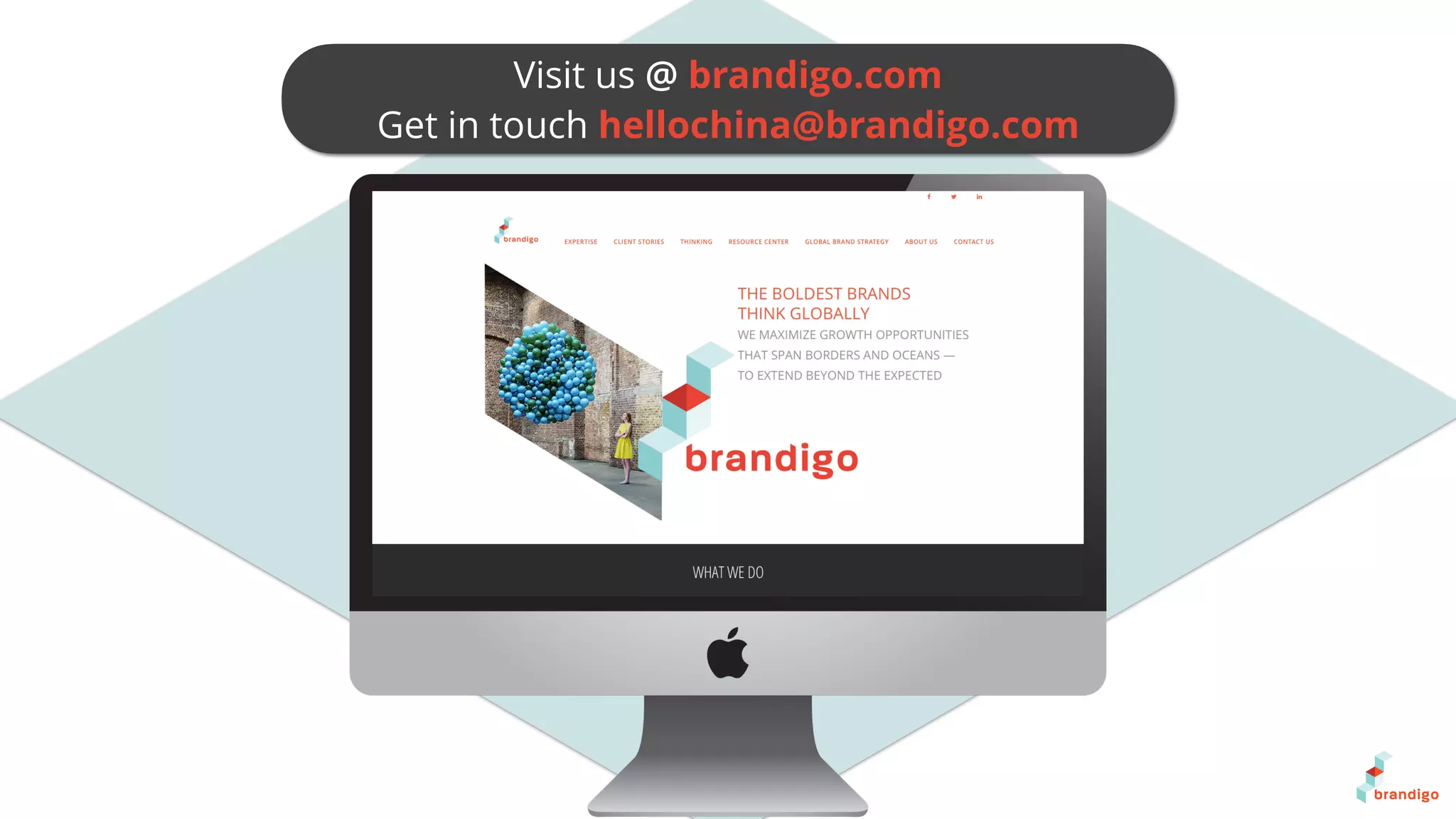 Visit us @ brandigo.com
Get in touch hellochina@brandigo.com
 
