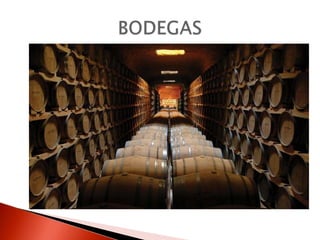 BODEGAS