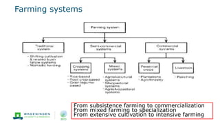 Farming systems
10
From subsistence farming to commercialization
From mixed farming to specialization
From extensive cultivation to intensive farming
 