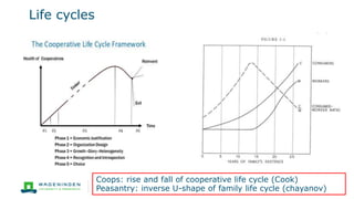 Life cycles
11
Coops: rise and fall of cooperative life cycle (Cook)
Peasantry: inverse U-shape of family life cycle (chayanov)
 