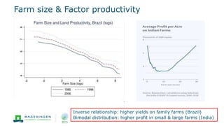 Farm size & Factor productivity
13
Inverse relationship: higher yields on family farms (Brazil)
Bimodal distribution: higher profit in small & large farms (India)
 