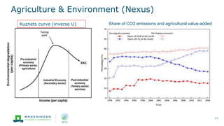 Agriculture & Environment (Nexus)
17
Share of CO2 emissions and agricultural value-added
Kuznets curve (inverse U)
 