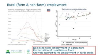 Rural (farm & non-farm) employment
Declining total employment in agriculture
Feminization of rural labour force
Growing non/off-farm employment in rural areas
 