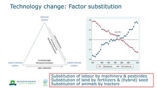 Technology change: Factor substitution
9
Substitution of labour by machinery & pesticides
Substitution of land by fertilizers & (hybrid) seed
Substitution of animals by tractors
 