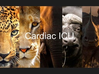 Cardiac ICU
 