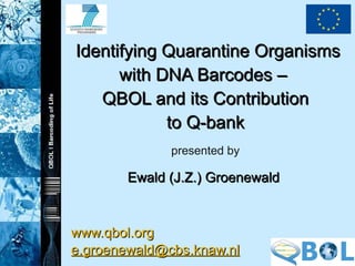 Identifying Quarantine Organisms with DNA Barcodes –  QBOL and its Contribution to Q-bank presented by Ewald (J.Z.) Groenewald  www.qbol.org [email_address]   