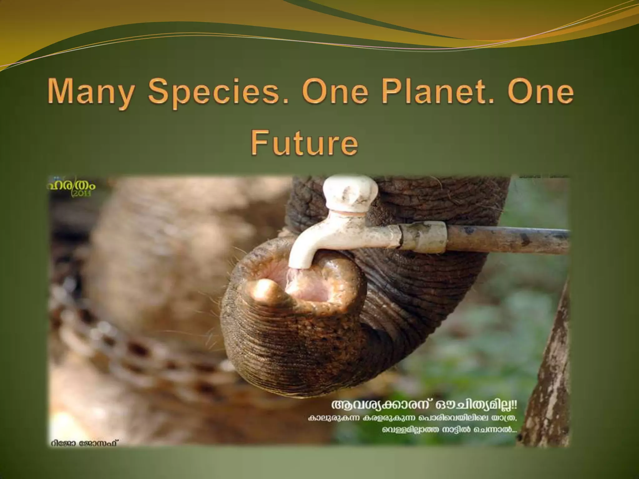 Many Species. One Planet. One Future
