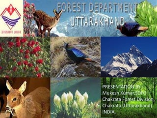 sS
PRESENTATION BY :
Mukesh Kumar,SDFO
Chakrata Forest Division,
Chakrata (Uttarakhand)
INDIA.
 