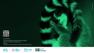 ONLY ONE EARTH PRACTICAL GUIDE | WORLD ENVIRONMENT DAY 2022
Image:
Patrick/Pexels
#OnlyOneEarth
FOR MORE INFORMATION: worldenvironmentday.global
unep-communication-director@un.org
unep.org
United Nations Avenue, Gigiri, PO Box 30552, 00100 Nairobi, Kenya
 