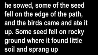he sowed, some of the seed
fell on the edge of the path,
and the birds came and ate it
up. Some seed fell on rocky
ground where it found little
soil and sprang up
 