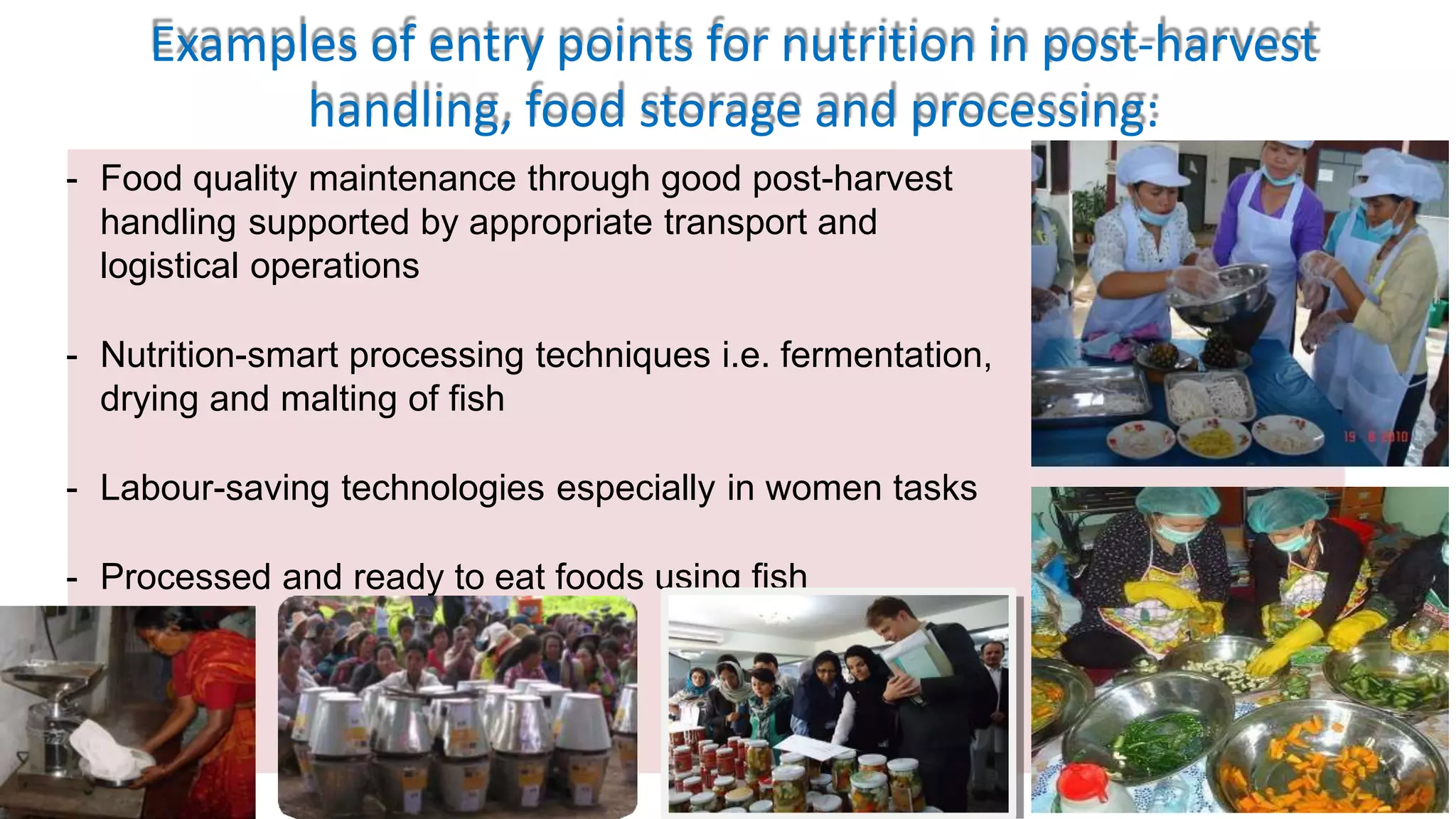 - Food quality maintenance through good post-harvest
handling supported by appropriate transport and
logistical operations
- Nutrition-smart processing techniques i.e. fermentation,
drying and malting of fish
- Labour-saving technologies especially in women tasks
- Processed and ready to eat foods using fish
Examples of entry points for nutrition in post-harvest
handling, food storage and processing:
 