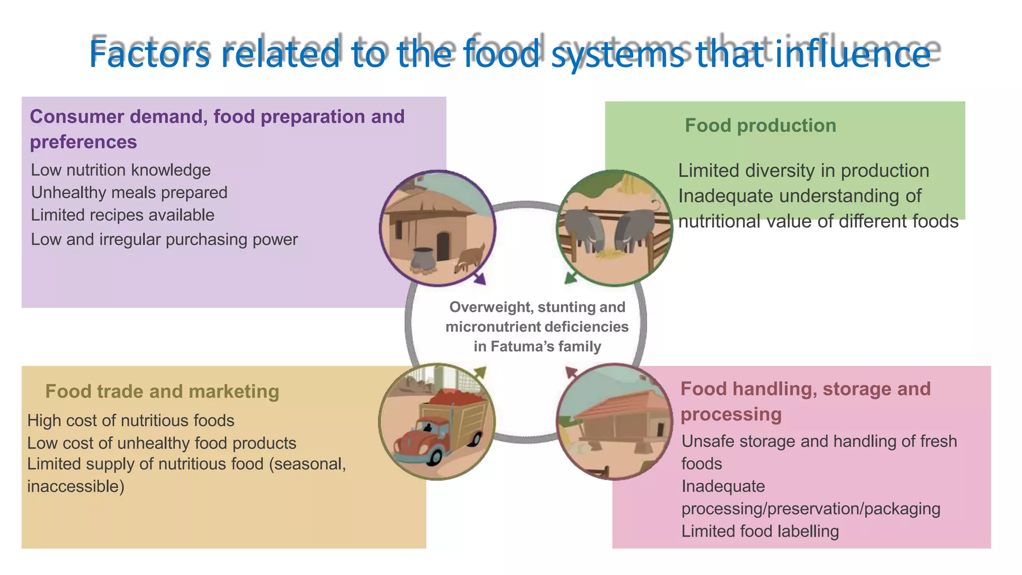 Limited diversity in production
Inadequate understanding of
nutritional value of different foods
Food productionConsumer demand, food preparation and
preferences
Low nutrition knowledge
Unhealthy meals prepared
Limited recipes available
Low and irregular purchasing power
Food trade and marketing
High cost of nutritious foods
Low cost of unhealthy food products
Limited supply of nutritious food (seasonal,
inaccessible)
Food handling, storage and
processing
Unsafe storage and handling of fresh
foods
Inadequate
processing/preservation/packaging
Limited food labelling
Overweight, stunting and
micronutrient deficiencies
in Fatuma’s family
Factors related to the food systems that influence
 
