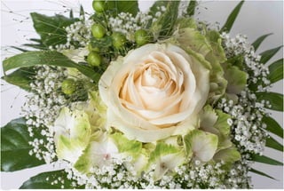 Weddings 10.jpg
Soma Peruzzo Endless Learning
 