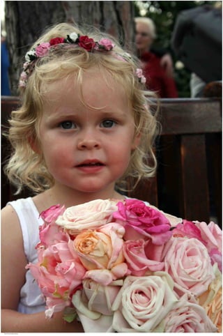 Weddings 32.jpg
Soma Peruzzo Endless Learning
 