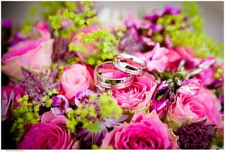 Weddings 33.jpg
Soma Peruzzo Endless Learning
 