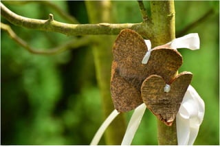 Weddings 37.jpg
Soma Peruzzo Endless Learning
 